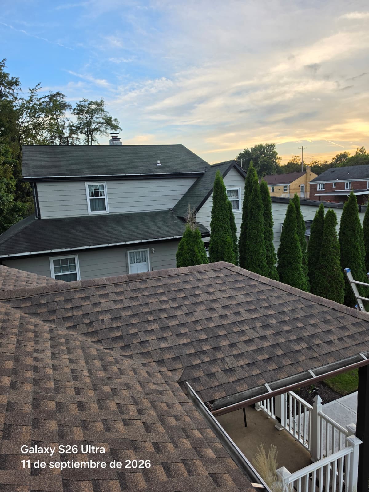 Multi-level hip roof with multi-tone brown architectural shingles and a sunset glow behind evergreen trees