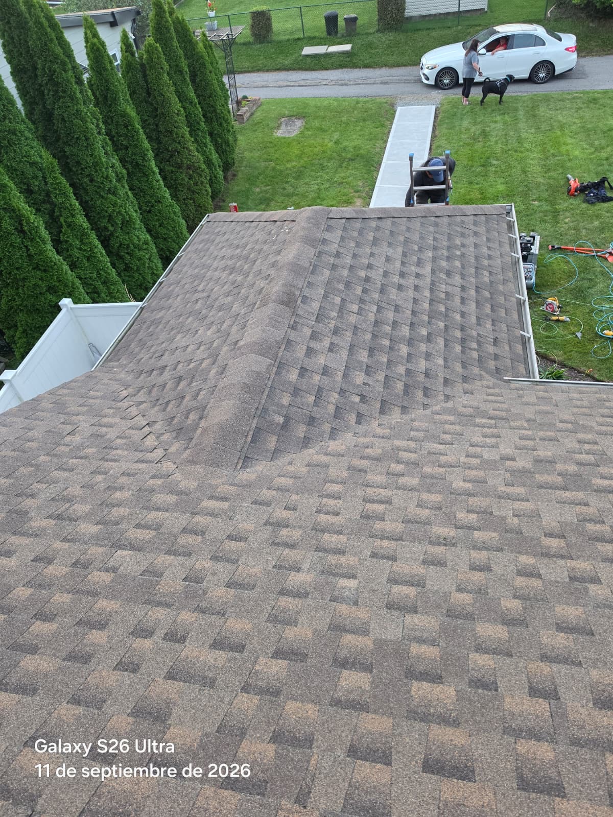 High-angle view of a hip roof with new brown architectural shingles and arborvitae trees along the property